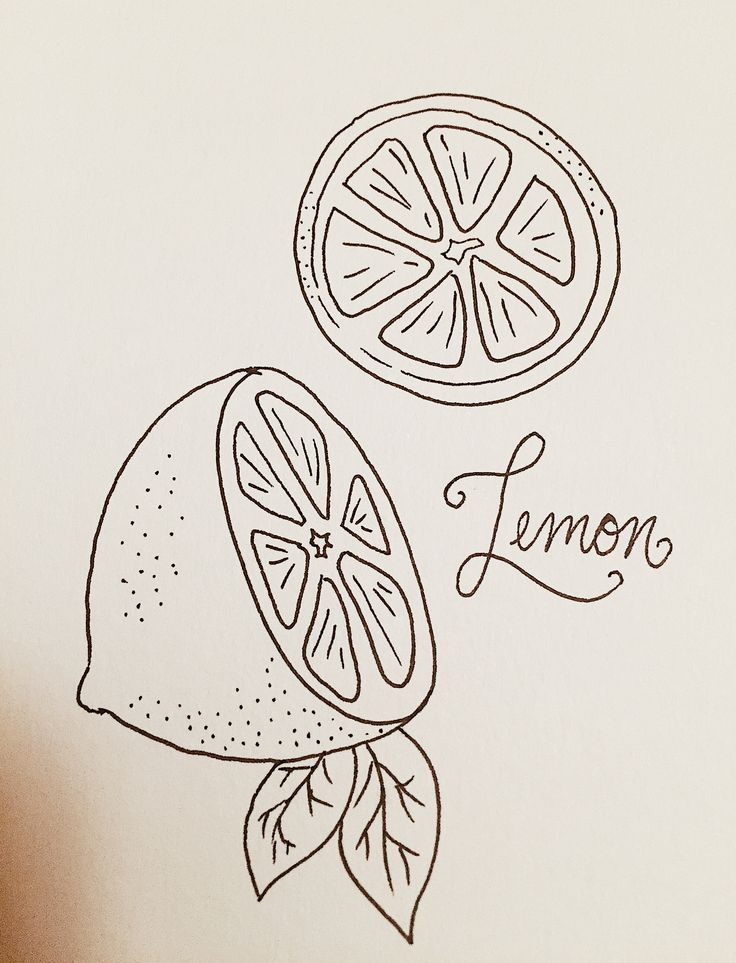 a drawing of two lemons with the words lemon on them