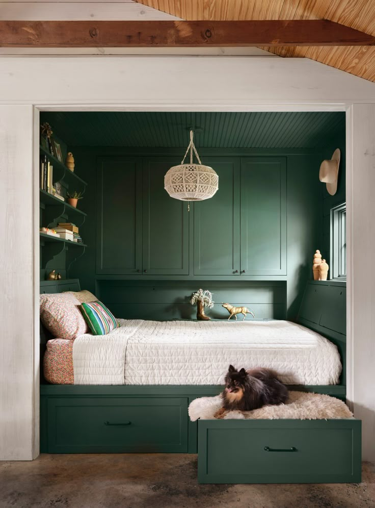 a dog laying on top of a bed in a room with green walls and drawers