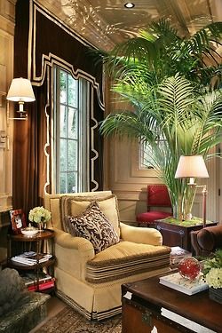 a living room filled with furniture and a large palm tree in the middle of it