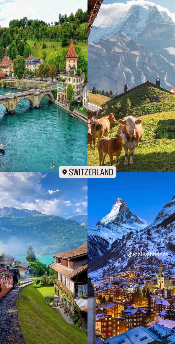 the collage shows four different views of switzerland