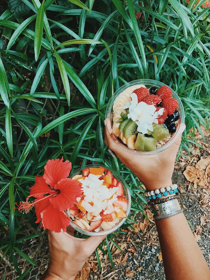 two hands holding bowls of fruit and flowers in front of green plants on the ground