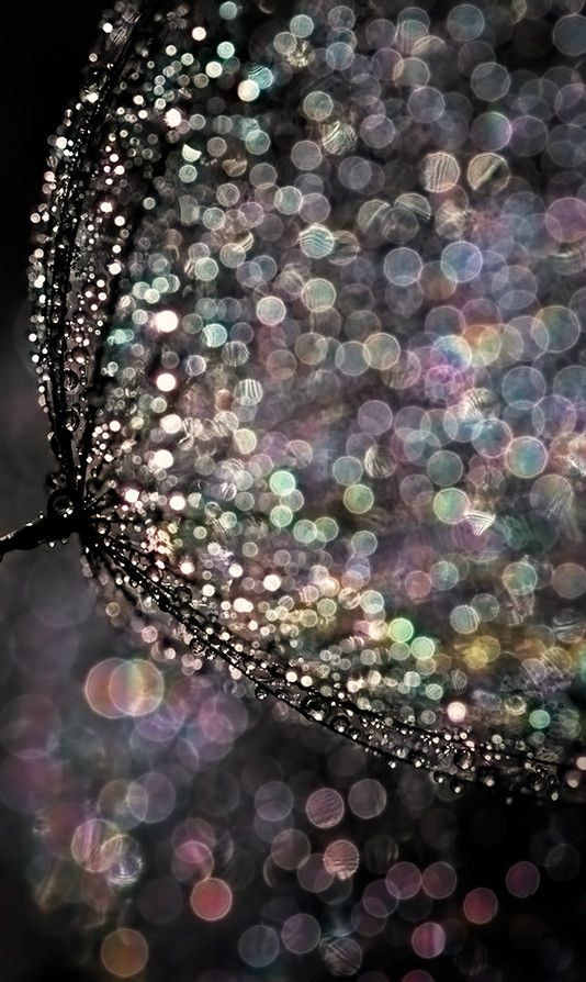 a close up view of water droplets on a leaf