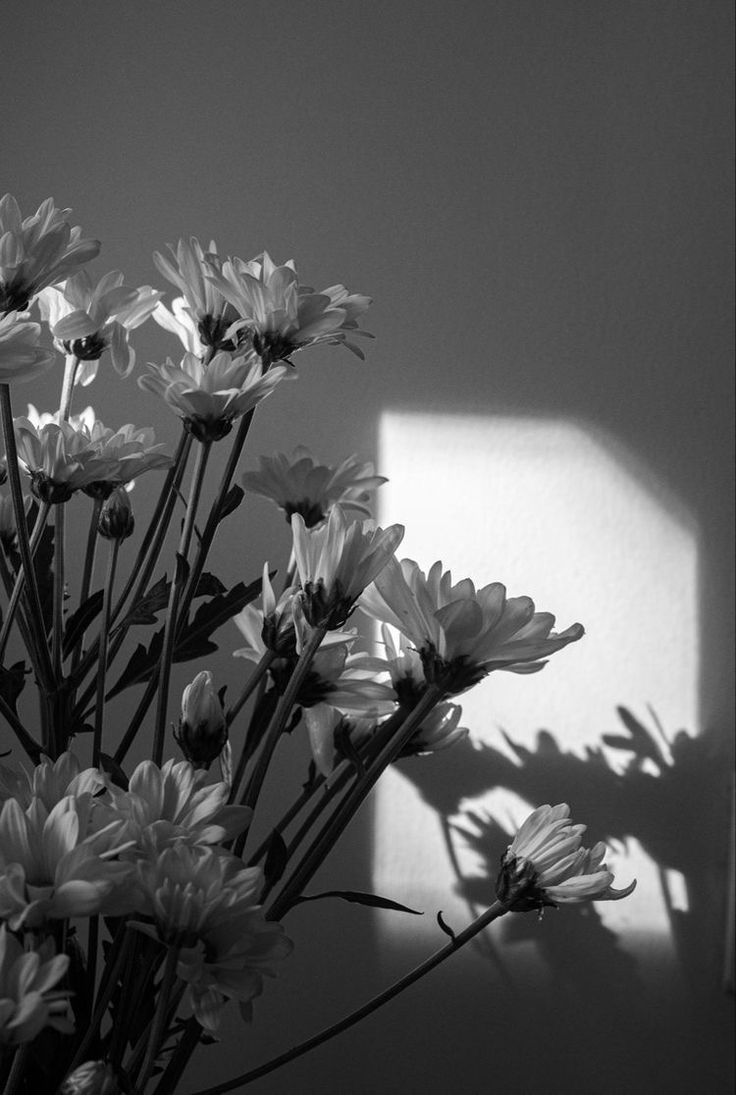 black and white photograph of flowers in vase with shadow on the wall behind it,