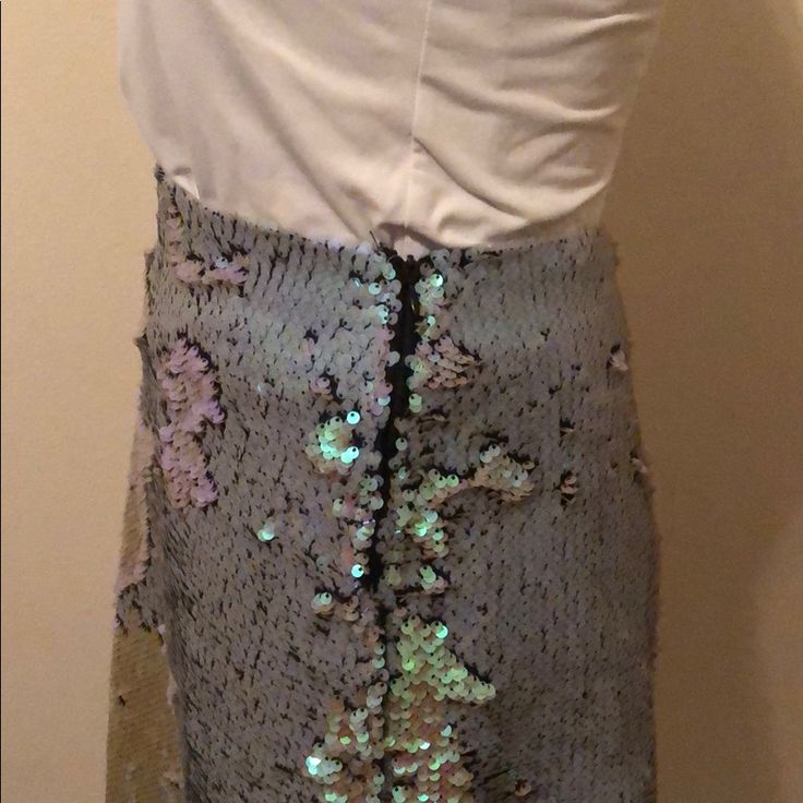 New, Never Worn. Sequence Skirt That Has A Zipper On The Side. Zara Lined Skirt For Night Out, Chic Fitted Sequin Maxi Skirt, Sequin Stretch Skirt, Zara Mini Skirt For Party, Zara Midi Skirt For Night Out, Stretch Sequin Pencil Skirt, Sequin Stretch Pencil Skirt, Zara Lined Skirt For Party, Zara Pencil Skirt For Night Out