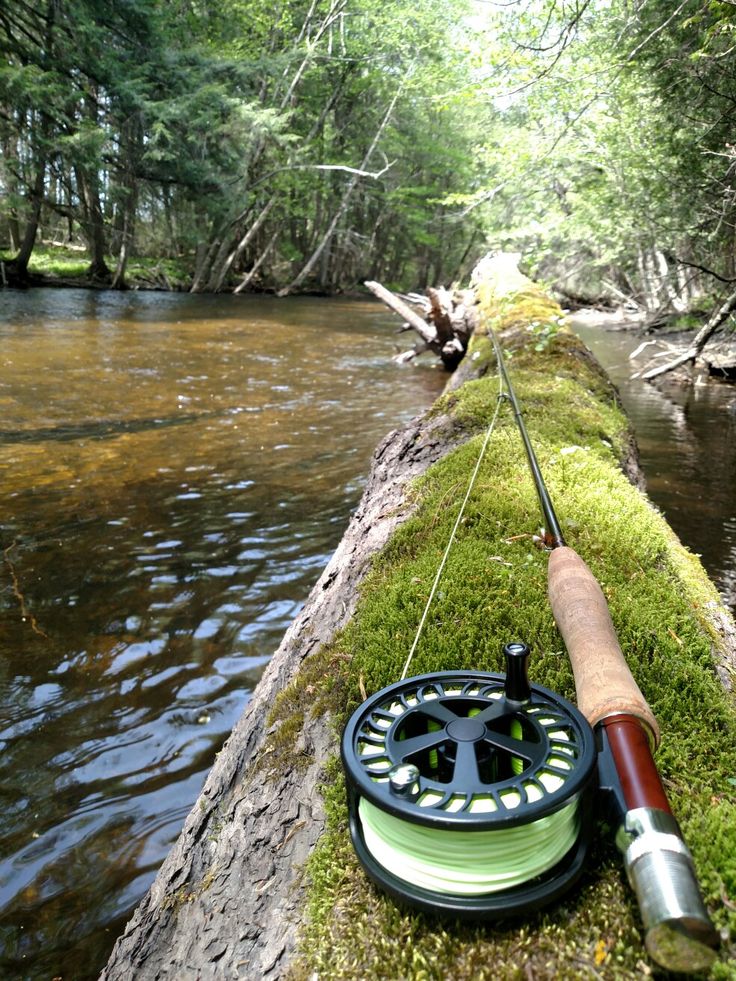 a fishing rod and reel sitting on the side of a river