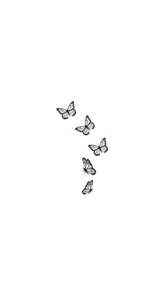 three butterflies flying in the air on a white background