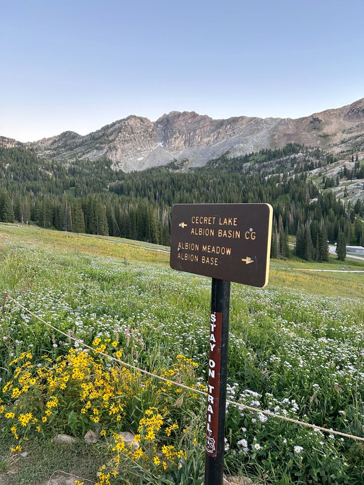 a sign in the middle of a field with wildflowers and mountains in the background