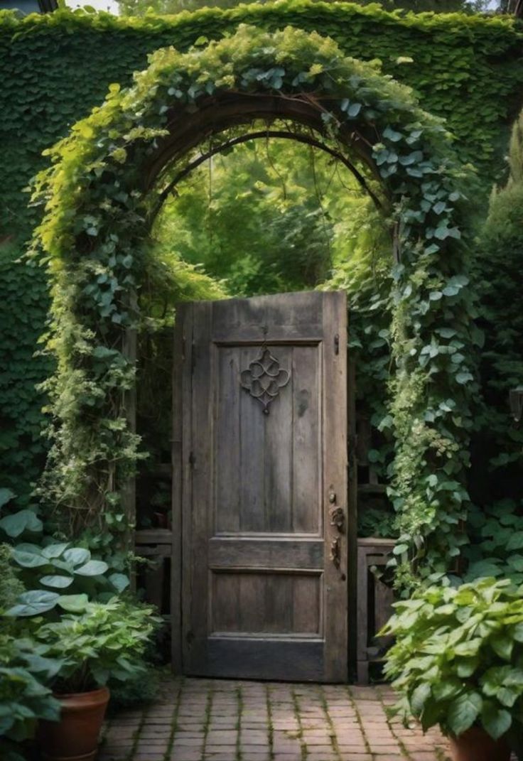 an old wooden door surrounded by greenery