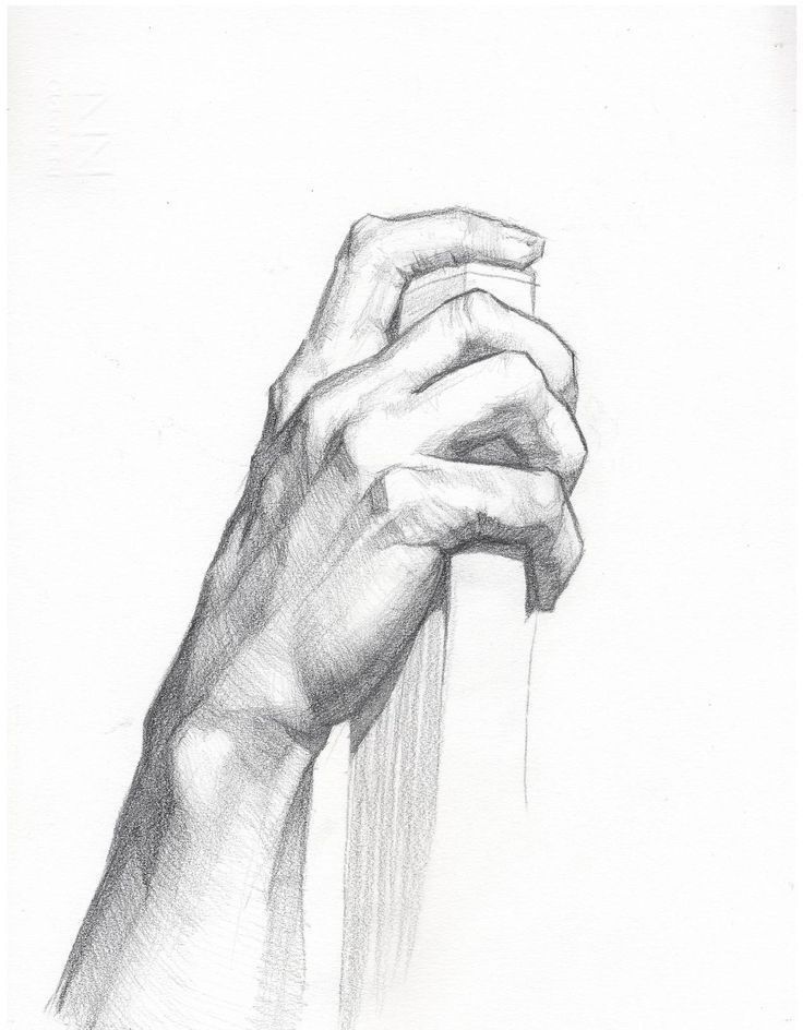 a pencil drawing of a hand holding something