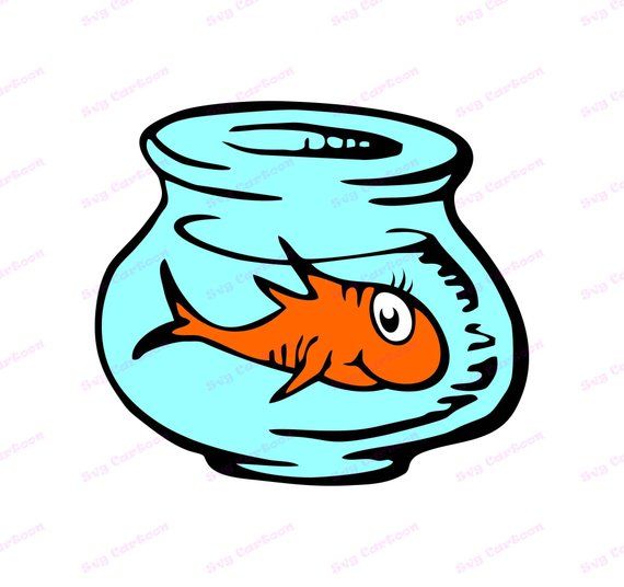 a goldfish in a fish bowl with water