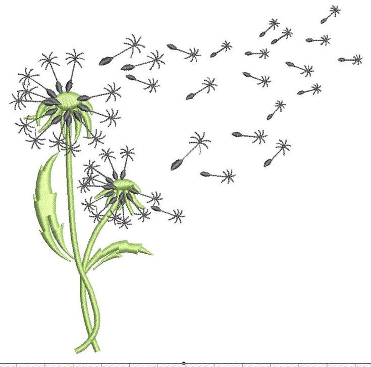 a drawing of a dandelion blowing in the wind with seeds coming from it