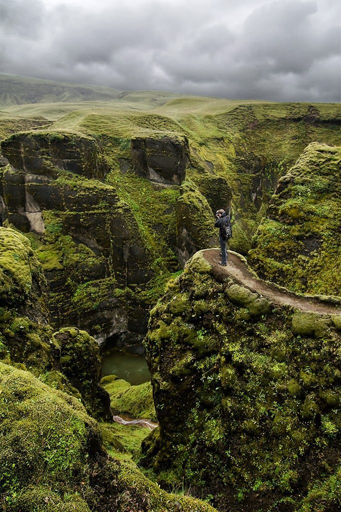 a man standing on top of a lush green cliff next to a forest filled with trees