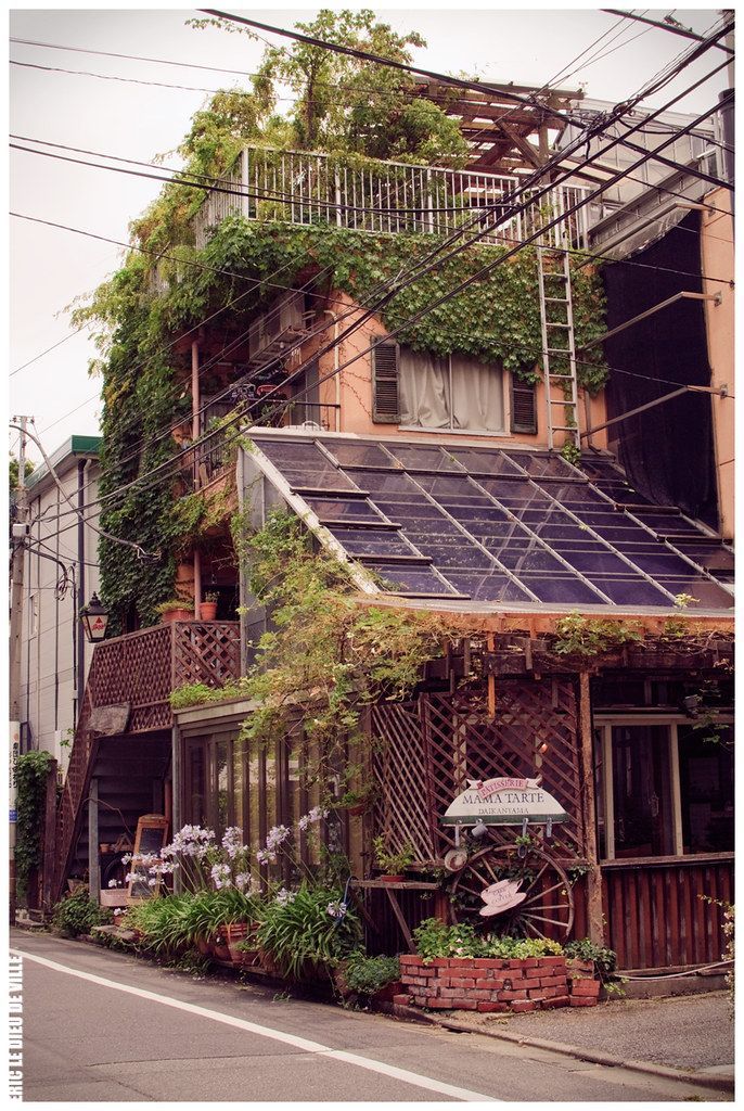 an old building with vines growing on it