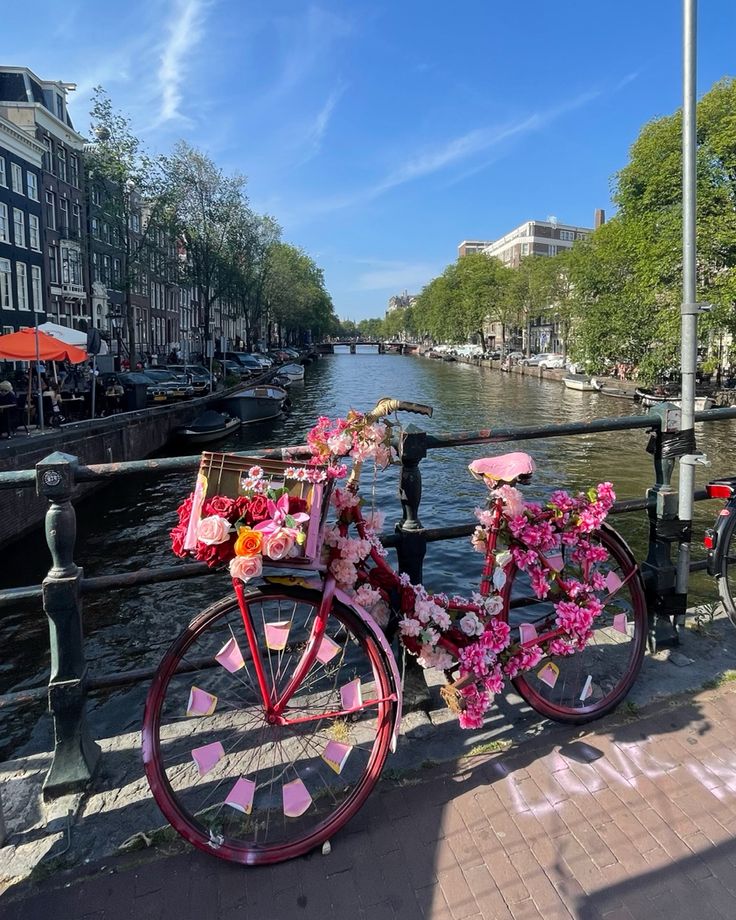 a pink bicycle with flowers on the front parked next to a railing near some water