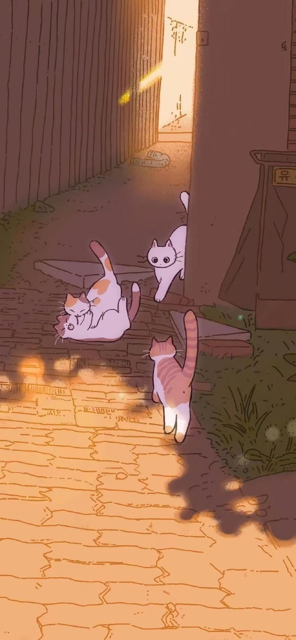 three cats are playing outside in the sun