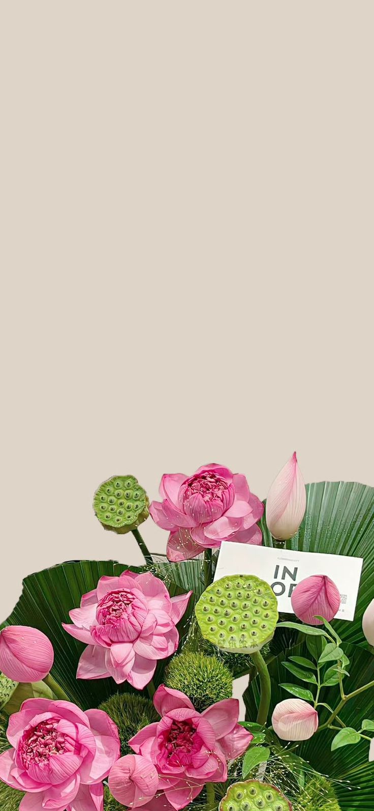 pink flowers and green leaves in a vase with a price tag on the top of it