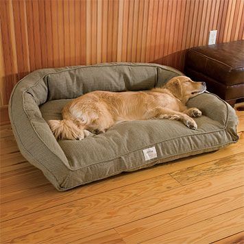 a dog is laying in his bed on the floor