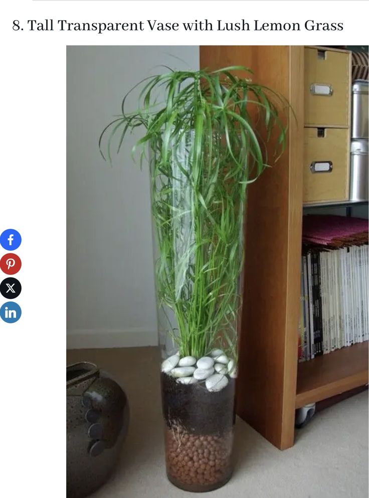 a tall glass vase filled with lots of white rocks and green plants next to a bookshelf