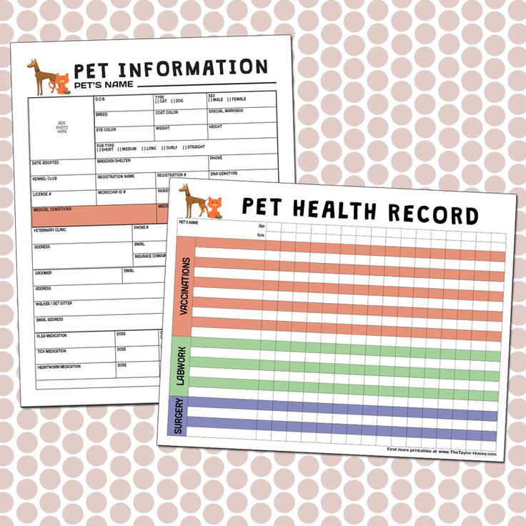 two printable pet health records are shown on a polka dot background with the words pet information