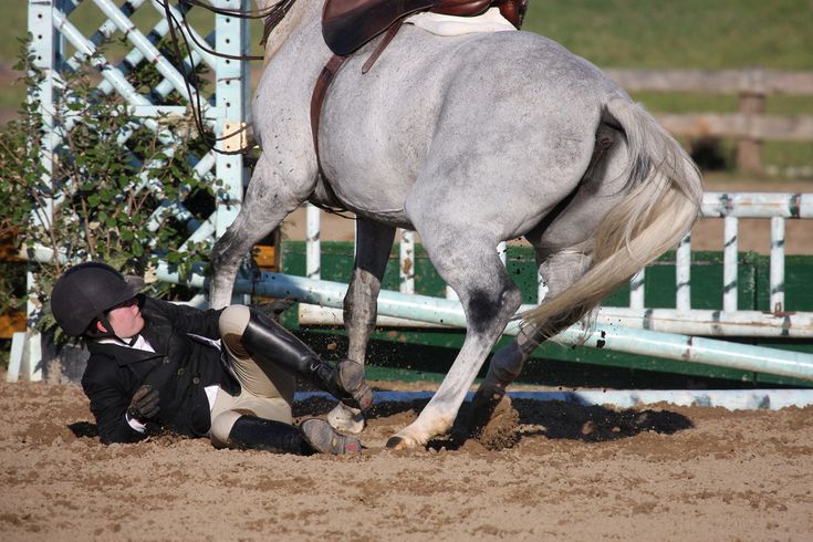 a man kneeling down next to a white horse in the dirt with it's head on its hind legs