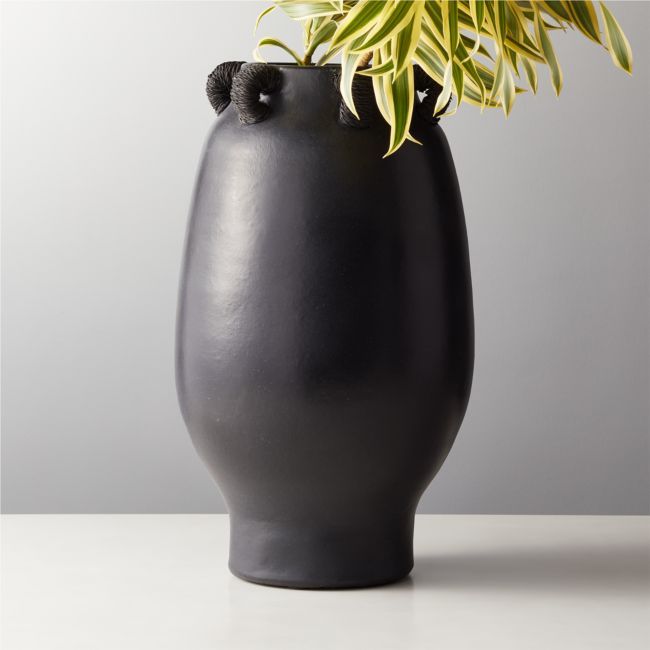 a plant in a black vase on a table