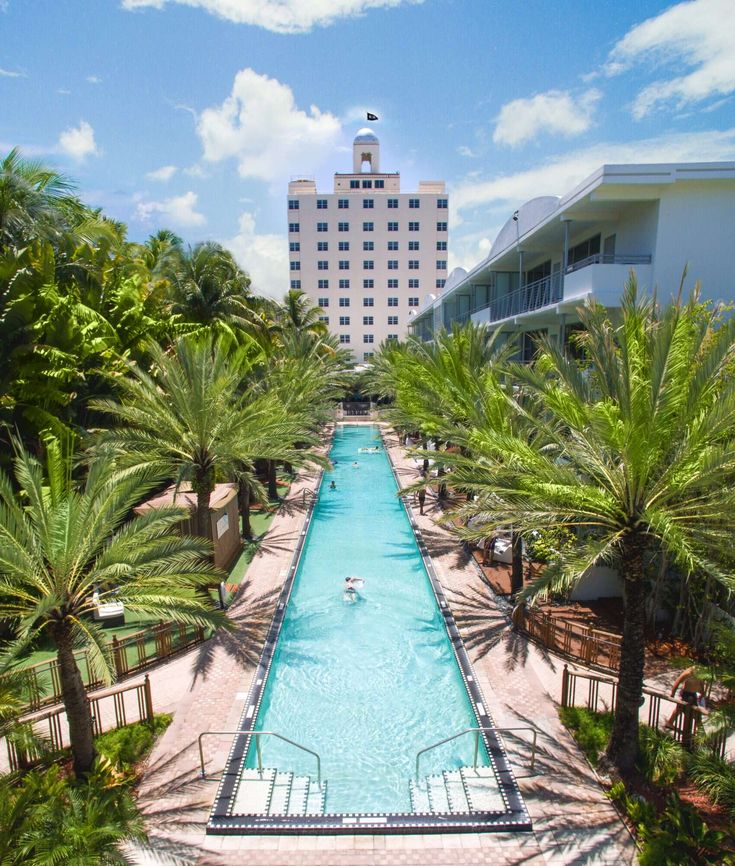 an outdoor swimming pool surrounded by palm trees