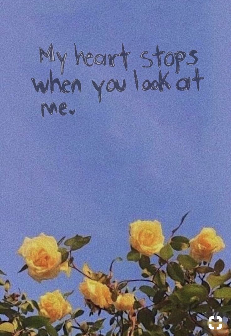 some yellow roses are in front of a blue sky with the words, my heart stops when you look at me