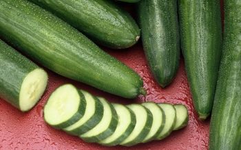 several cucumbers are laying next to each other