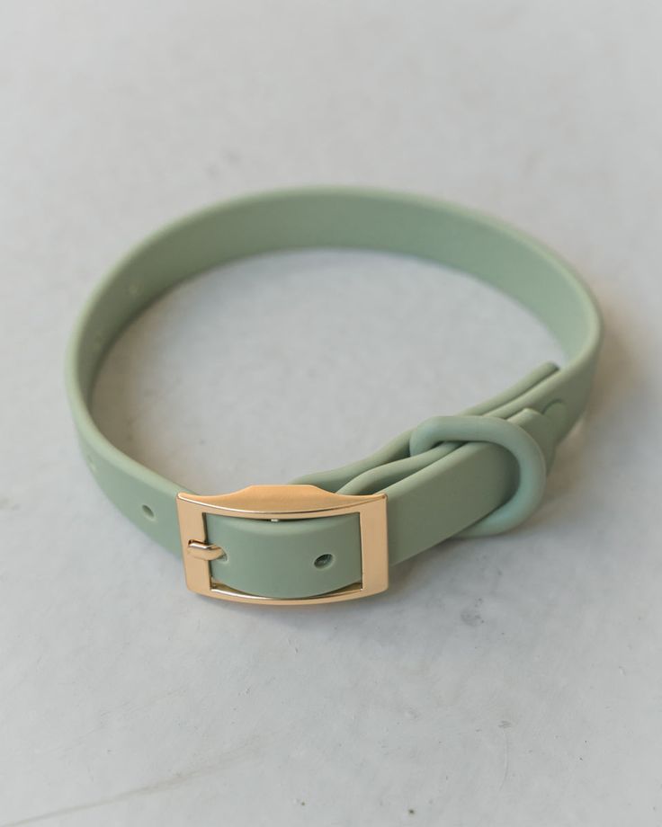 a light green leather bracelet with a gold buckle on the clasp and an empty white surface