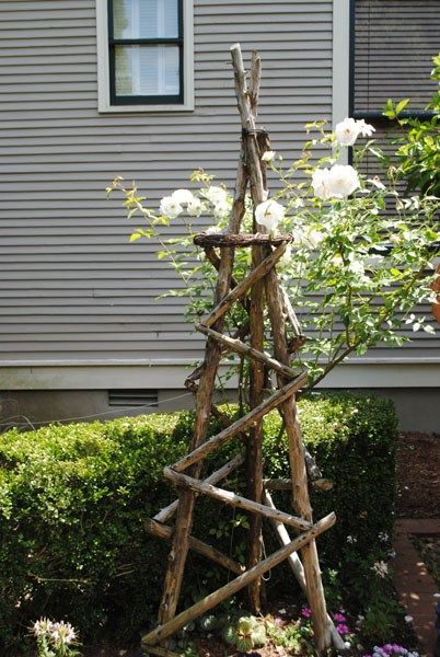 a tree made out of sticks and branches in front of a house with white flowers