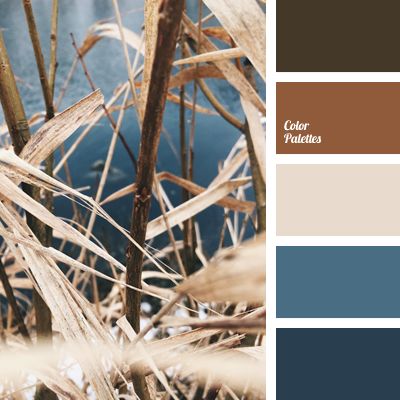 the color scheme is blue, brown, and white with an assortment of different colors