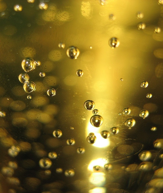 water bubbles in a glass filled with liquid