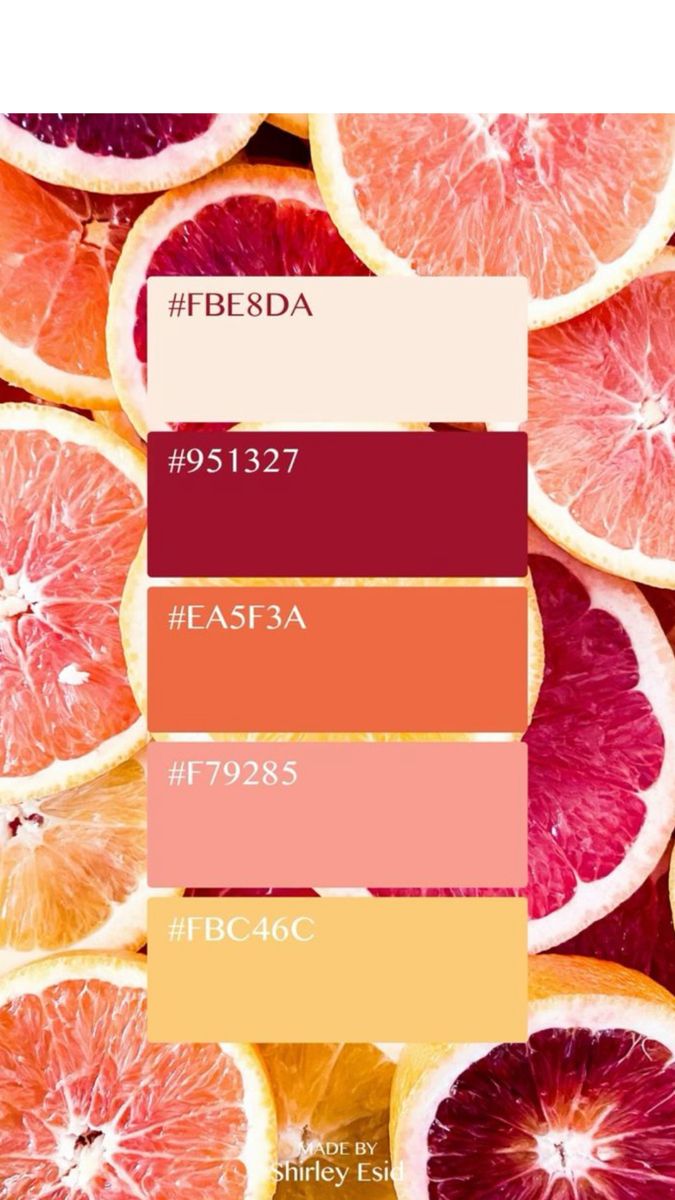 blood oranges are shown in shades of red, yellow and pink with the same color scheme