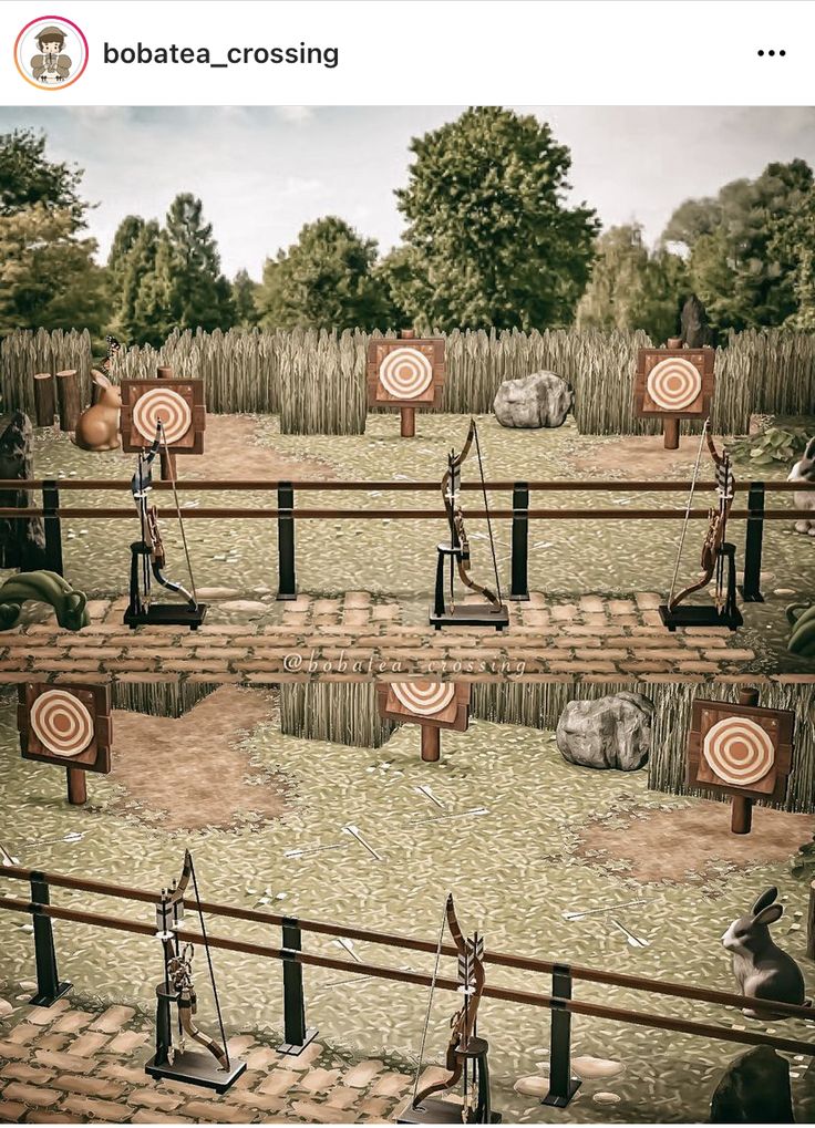 an image of some people playing archery in the field with bulls and arrows on them