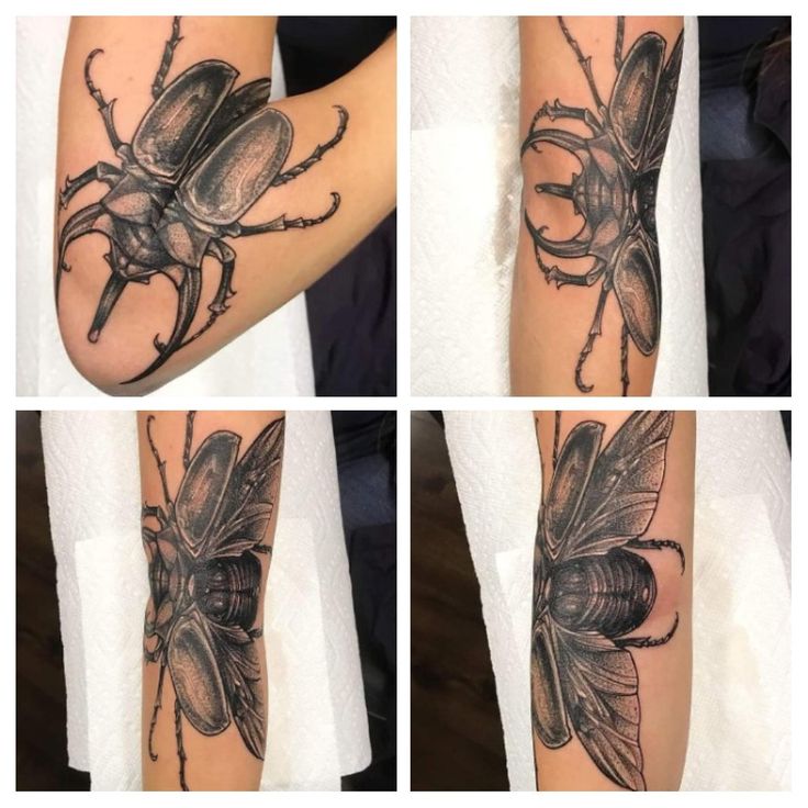 four different views of a beetle tattoo on someone's arm