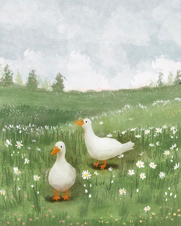 two white ducks walking through a field of daisies and daisies in the grass