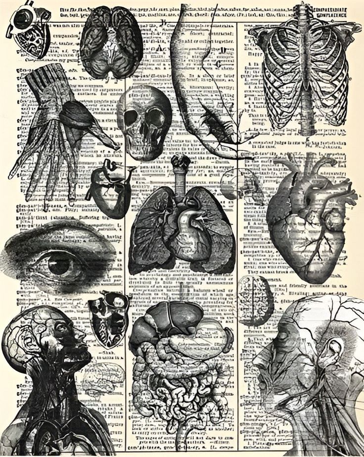 an old book page with medical illustrations on it