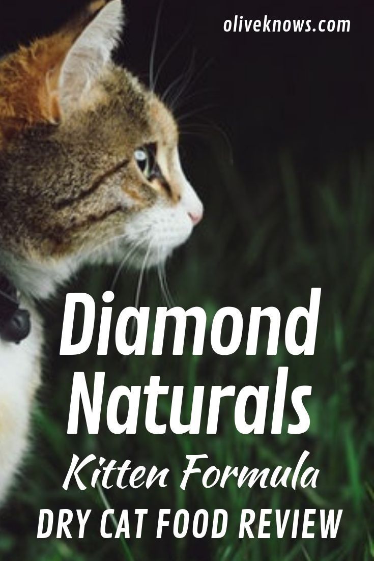 diamond naturals wet cat food review