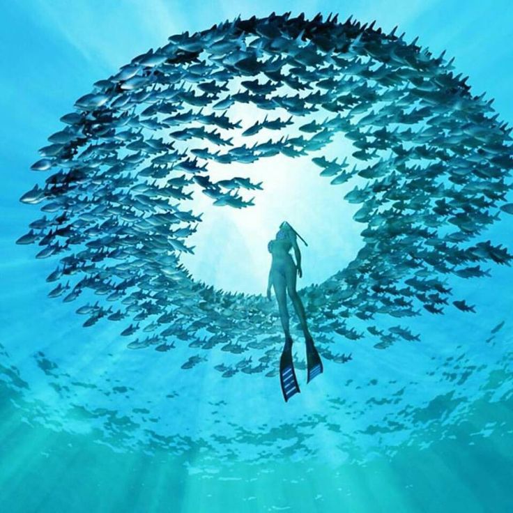 a woman swimming in the ocean surrounded by hundreds of fish