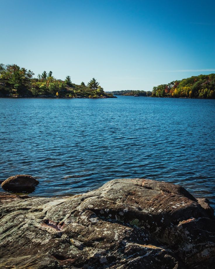 a large body of water sitting next to a lush green forest on top of a rocky shore