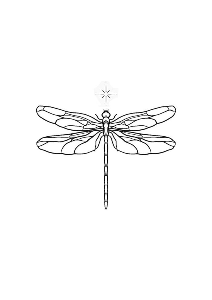 a black and white drawing of a dragonfly