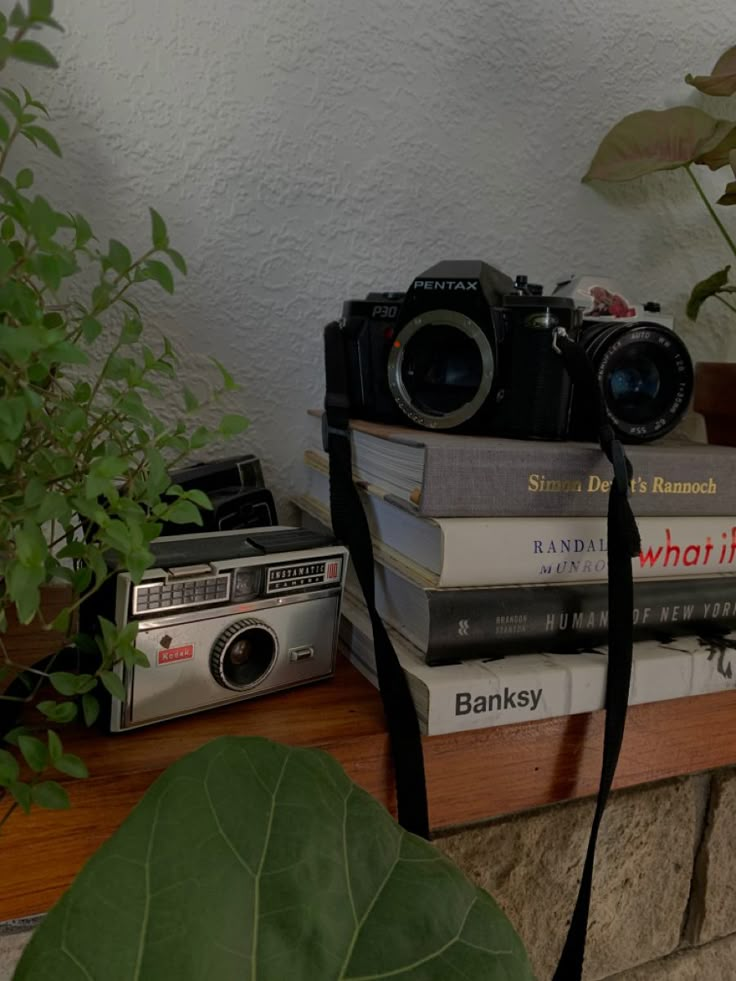 a camera and some books are sitting on a shelf next to a potted plant