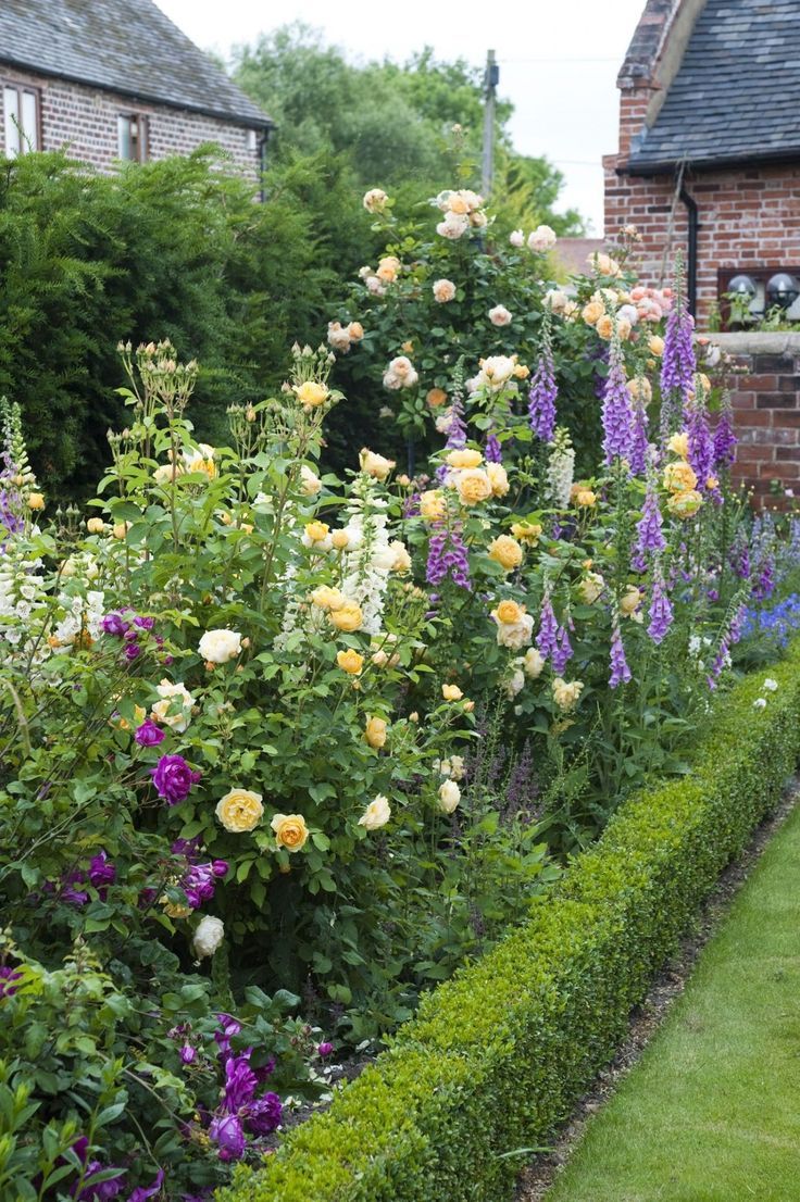 a garden filled with lots of flowers next to a lush green hedge covered in purple and yellow flowers