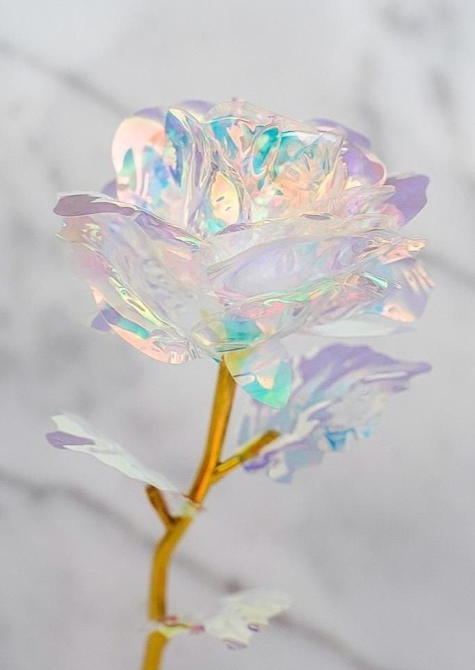 a white flower with iridescent petals in front of a marble background