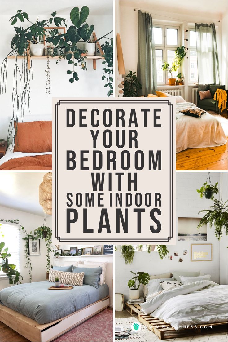 bedroom decor with some indoor plants on the wall and bed in the middle, along with text overlay that reads decorate your bedroom with some indoor plants