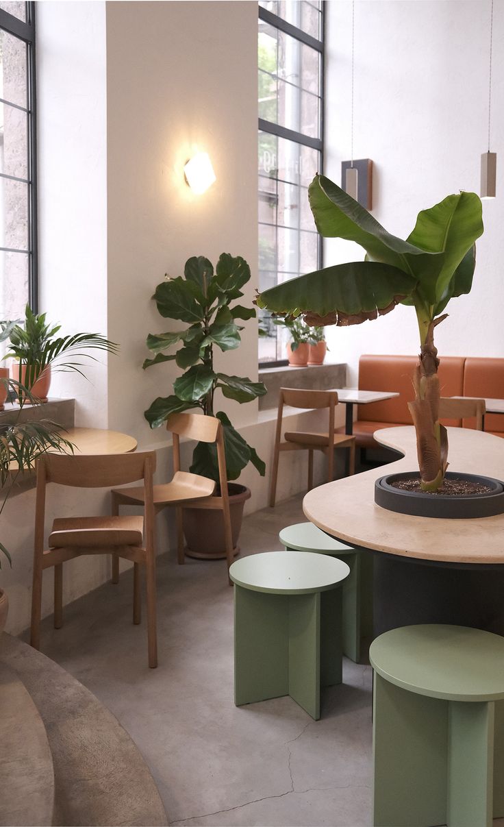 a room with tables, chairs and plants in it