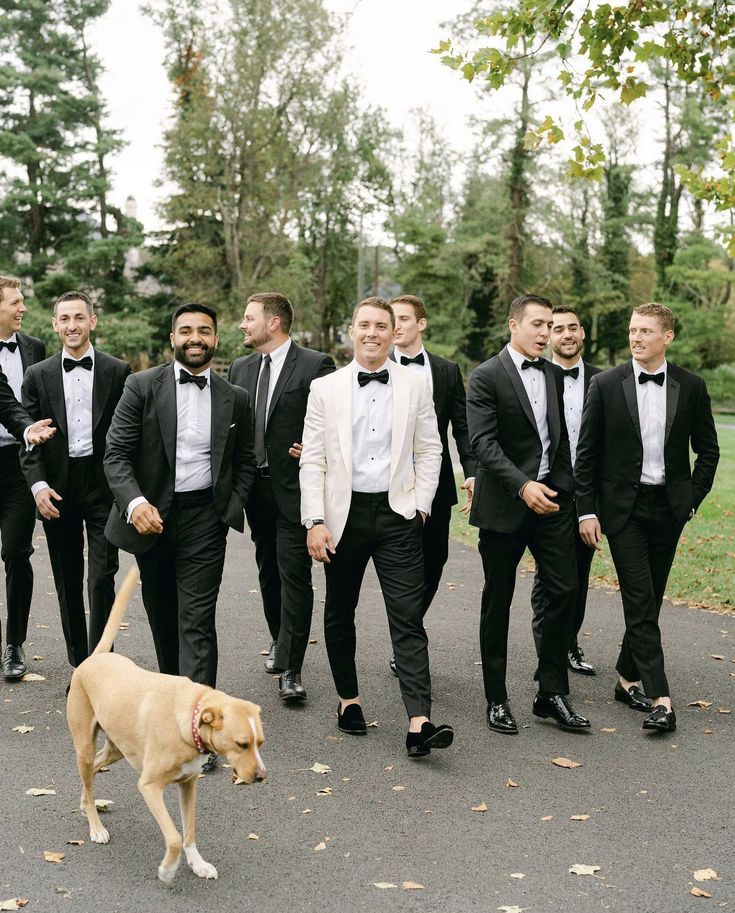 a group of men in tuxedos and bow ties walking down the street with a dog