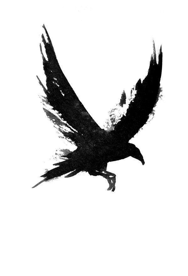 a black and white photo of a bird flying