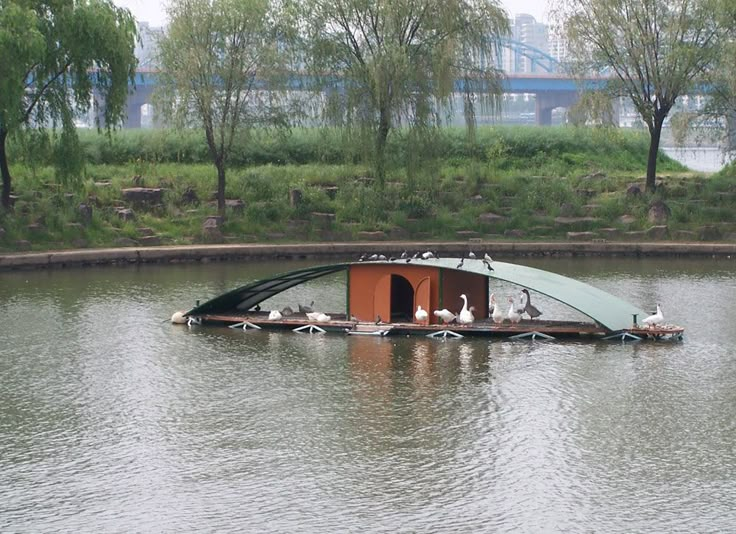 a boat that is floating in the water with some birds on it's side