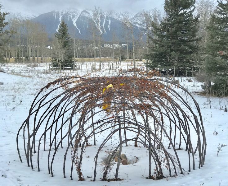 an outdoor sculpture made out of branches in the snow with mountains in the back ground